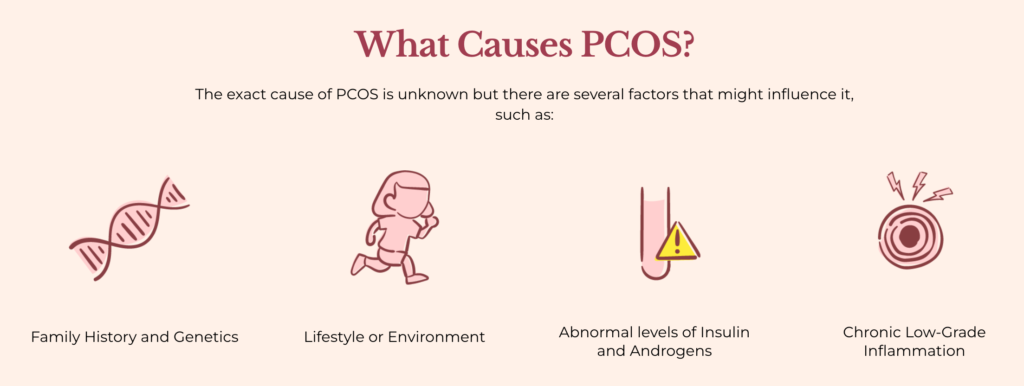 What Causes PCOS?